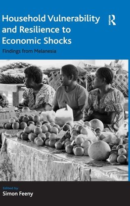 Household Vulnerability and Resilience to Economic Shocks