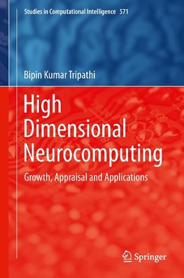 High Dimensional Neurocomputing