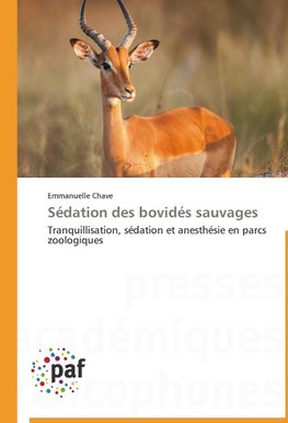 Sédation des bovidés sauvages