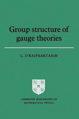 Group Structure of Gauge Theories