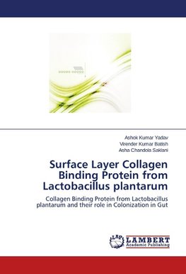 Surface Layer Collagen Binding Protein from Lactobacillus plantarum