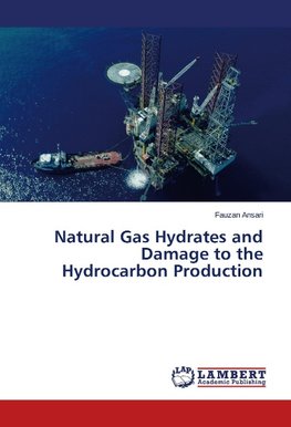 Natural Gas Hydrates and Damage to the Hydrocarbon Production