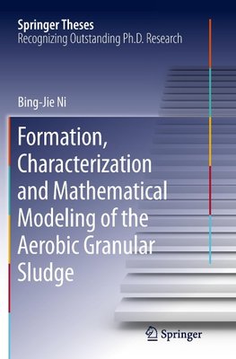 Formation, characterization and mathematical modeling of the aerobic granular sludge