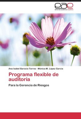 Programa flexible de auditoría