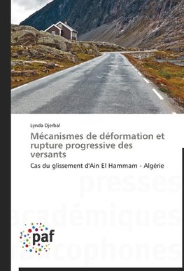 Mécanismes de déformation et rupture progressive des versants