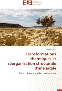 Transformations thermiques et réorganisation structurale d'une argile