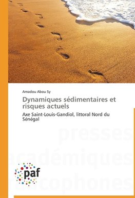 Dynamiques sédimentaires et risques actuels