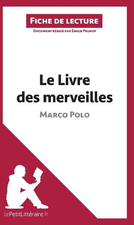 Analyse : Le Livre des merveilles de Marco Polo  (analyse complète de l'oeuvre et résumé)