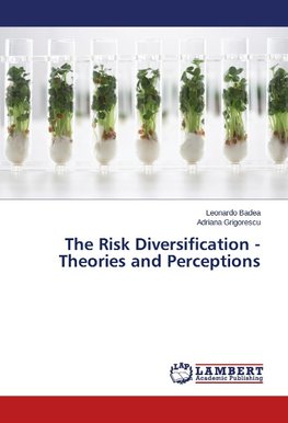 The Risk Diversification - Theories and Perceptions