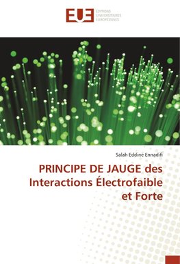 PRINCIPE DE JAUGE des Interactions Électrofaible et Forte