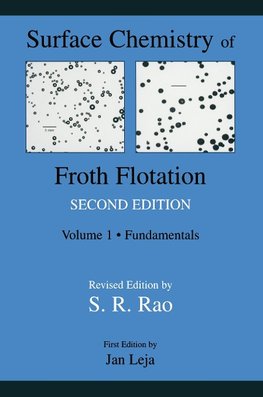 Surface Chemistry of Froth Flotation