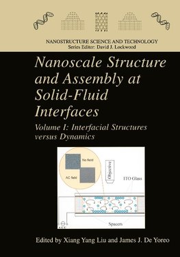 Nanoscale Structure and Assembly at Solid-Fluid Interfaces