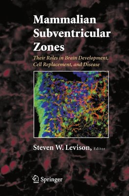 Mammalian Subventricular Zones