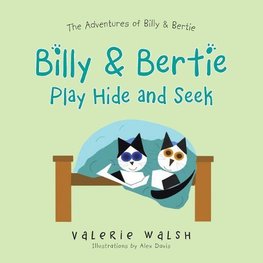 Billy & Bertie Play Hide and Seek