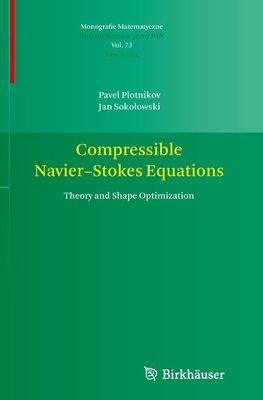 Compressible Navier-Stokes Equations