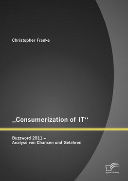 "Consumerization of IT": Buzzword 2011 - Analyse von Chancen und Gefahren