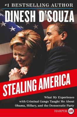 D'Souza, D: Stealing America LP