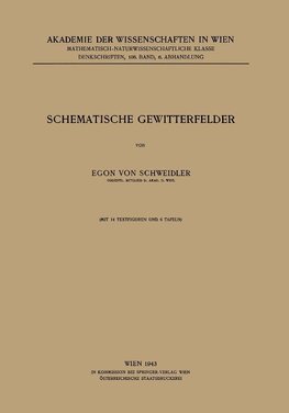 Schematische Gewitterfelder