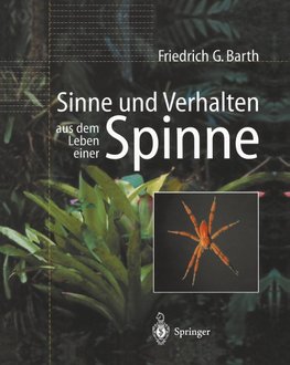 Sinne und Verhalten: aus dem Leben einer Spinne