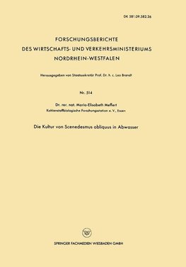 Die Kultur von Scenedesmus obliquus in Abwasser