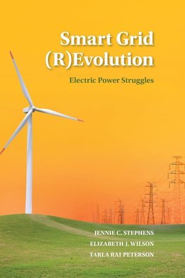 Smart Grid (R)Evolution