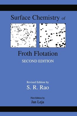 Surface Chemistry of Froth Flotation