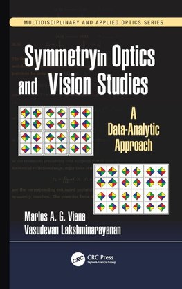 Symmetry in Optics and Vision Studies