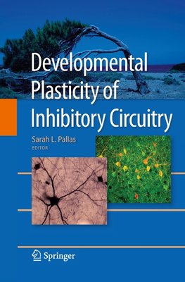 Developmental Plasticity of Inhibitory Circuitry