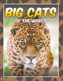 Big Cats of the World