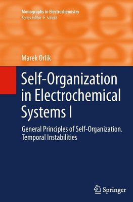 Self-Organization in Electrochemical Systems I