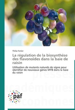 La régulation de la biosynthèse des flavonoïdes dans la baie de raisin