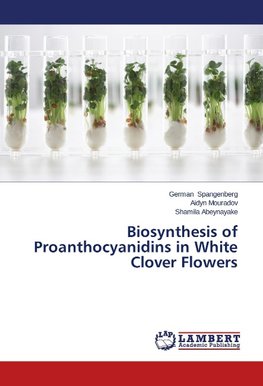 Biosynthesis of Proanthocyanidins in White Clover Flowers