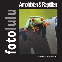 Amphibien & Reptilien