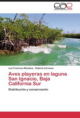 Aves playeras en laguna San Ignacio, Baja California Sur