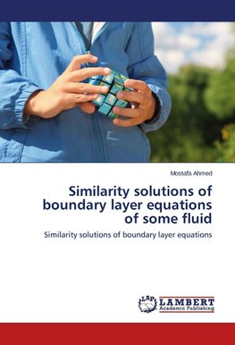 Similarity solutions of boundary layer equations of some fluid