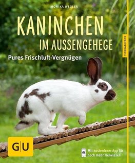 Kaninchen im Außengehege