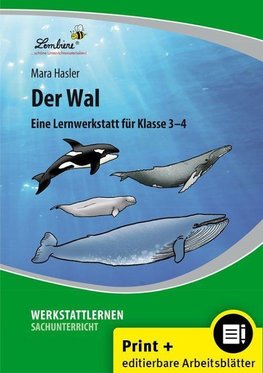 Der Wal. Grundschule, Sachunterricht, Klasse 3-4