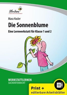 Die Sonnenblume. Grundschule, Sachunterricht, Klasse 1-2