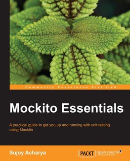 MOCKITO ESSENTIALS