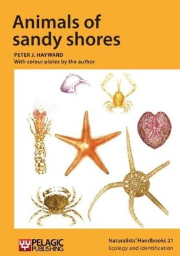 Animals of sandy shores