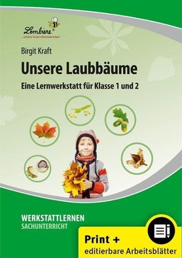 Unsere Laubbäume. Grundschule, Sachunterricht, Klasse 1-2