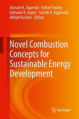 Novel Combustion Concepts for Sustainable Energy Development