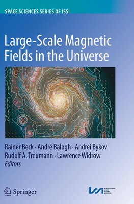 Large-scale Magnetic Fields in the Universe