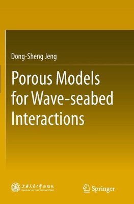 Porous Models for Wave-seabed Interactions