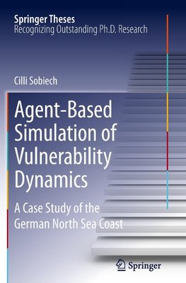 Agent-Based Simulation of Vulnerability Dynamics