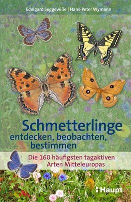 Schmetterlinge entdecken, beobachten, bestimmen