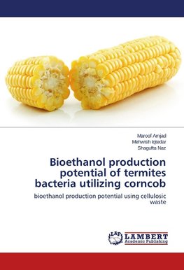 Bioethanol production potential of termites bacteria utilizing corncob