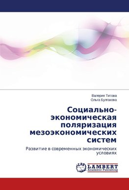 Sotsial'no-ekonomicheskaya polyarizatsiya mezoekonomicheskikh sistem