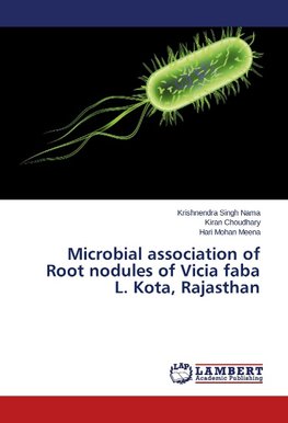 Microbial association of Root nodules of Vicia faba L. Kota, Rajasthan