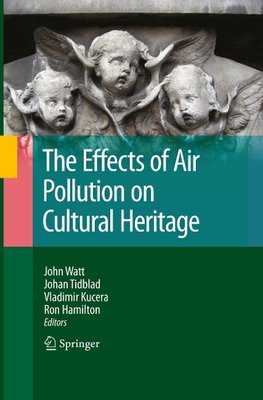 The Effects of Air Pollution on Cultural Heritage